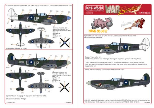 Декаль 1/48 Supermarine Spitfire Mk.VIII (Kits-World)