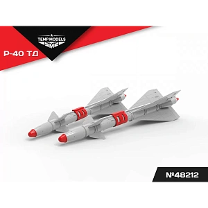 Дополнения из смолы 1/48 Управляемая ракета Р-40 ТД (Temp Models)/ МиГ-25, МиГ-31