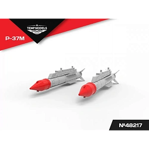 Дополнения из смолы 1/48 Управляемая ракета Р-37М (Temp Models)