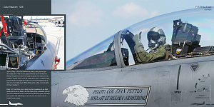 Авиационные книги Duke Hawkins: McDonnell F-15E Strike Eagle (HMH-Publications)