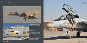 Авиационные книги Duke Hawkins: Grumman F-14 Tomcat (HMH-Publications)