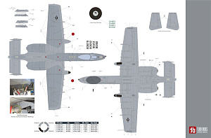 Декаль 1/32 1/72 Fairchild A-10C Hoosier Hawgs TB72111 combined with TB32072 (Two Bobs)