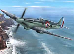 Сборная модель 1/48 Supermar.Seafire F Mk.15 'Aéronavale Service' (Special Hobby)