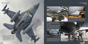 Авиационные книги Duke Hawkins: Fighting Falcon Lockheed-Martin F-16 (HMH-Publications)