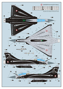 Сборная модель 1/72 Dassault Mirage 2000C (Dream Model)