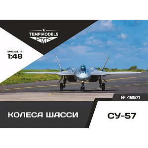 Дополнения из смолы 1/48 Колеса шасси СУ-57 (Temp Models)