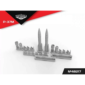 Дополнения из смолы 1/48 Управляемая ракета Р-37М (Temp Models)