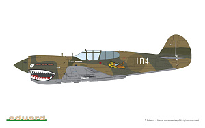 Сборная модель 1/48 PACIFIC STAR Curtiss P-40E Warhawk DUAL COMBO (Eduard kits)