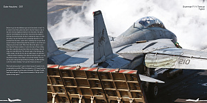 Авиационные книги Duke Hawkins: Grumman F-14 Tomcat (HMH-Publications)