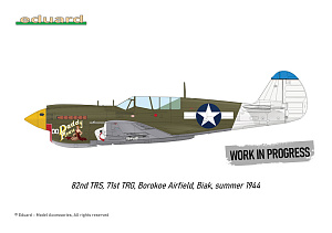Сборная модель 1/48 Curtiss P-40N Warhawk (Royal Class, Dual Combo) (Eduard kits)