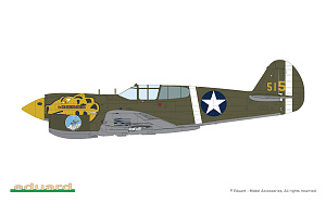 Сборная модель 1/48 Curtiss P-40E Warhawk (The ProfiPACK edition kit) (Eduard kits)