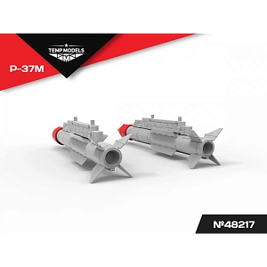 Дополнения из смолы 1/48 Управляемая ракета Р-37М (Temp Models)