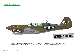 Сборная модель 1/48 Curtiss P-40N Warhawk (Royal Class, Dual Combo) (Eduard kits)