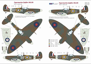 Декаль 1/72 303 Squadron RAF, Supermarine Spitfire Mk.IIb (AML)