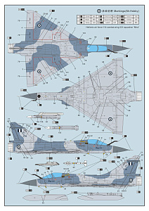 Сборная модель 1/72 Dassault Mirage 2000C (Dream Model)