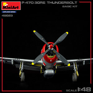 Сборная модель 1/48 P-47D-30RE Thunderbolt (BASIC KIT) (MiniArt)