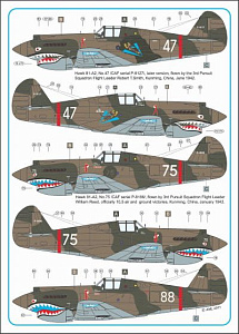 Декаль 1/72 Curtiss Hawk 81-A2 of China Air Force WWII x 6  (AML)
