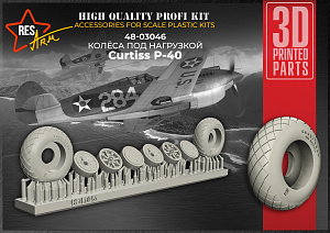 Дополнения из смолы 1/48 Колеса Curtiss P-40 (под нагрузкой) (RESArm)