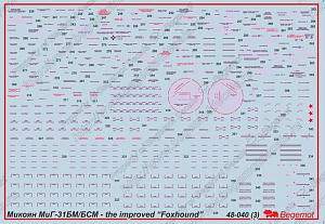 Декаль 1/48 Микоян МиГ-31БМ(БСМ)  (Begemot)
