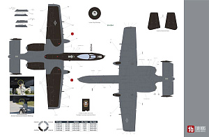 Декаль 1/32 1/72 Fairchild A-10C Hoosier Hawgs TB72111 combined with TB32072 (Two Bobs)