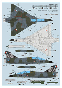 Сборная модель 1/72 Dassault Mirage-2000D (Dream Model)