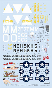 Декаль 1/48 P-38J over Europe (TAM)