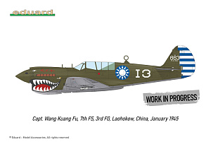Сборная модель 1/48 Curtiss P-40N Warhawk (Royal Class, Dual Combo) (Eduard kits)