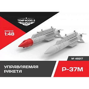 Дополнения из смолы 1/48 Управляемая ракета Р-37М (Temp Models)