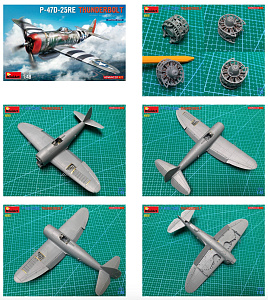 Сборная модель 1/48 Republic P-47D -25RE Thunderbolt ADVANCED KIT (Mini Art)