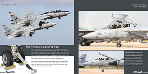 Авиационные книги Duke Hawkins: Grumman F-14 Tomcat (HMH-Publications)