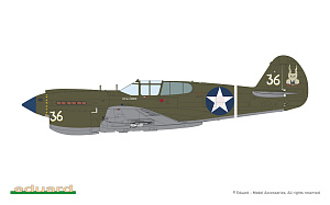 Сборная модель 1/48 PACIFIC STAR Curtiss P-40E Warhawk DUAL COMBO (Eduard kits)