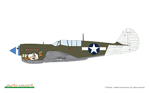Сборная модель 1/48 Curtiss P-40N Warhawk (The ProfiPACK edition kit) (Eduard kits)