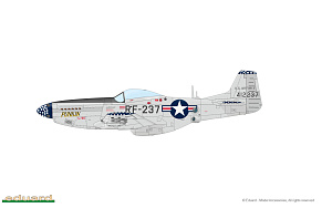 Сборная модель 1/48 North-American F-51D and RF-51D Mustang KOREA DUAL COMBO (Eduard kits)