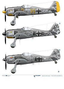 Декаль 1/48 Fw-190 A3 JG 5 (Colibri Decals)