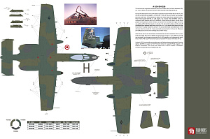 Декаль 1/48 Fairchild A-10A/A-10C Thunderbolt II (Two Bobs)