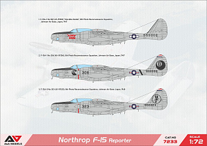 Сборная модель 1/72 Northrop F-15 Reporter (A & A Models)