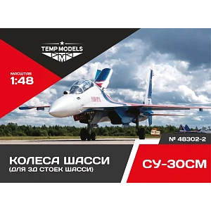 Дополнения из смолы 1/48 Колеса шасси СУ-30 3Д (Temp Models)