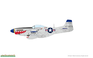 Сборная модель 1/48 North-American F-51D and RF-51D Mustang KOREA DUAL COMBO (Eduard kits)