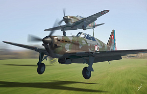 Сборная модель 1/48 Morane-Saulnier MS.406C1 (Dora Wings)