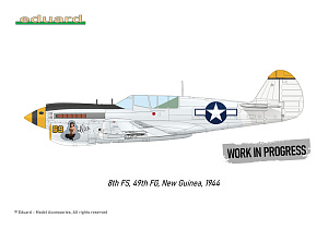 Сборная модель 1/48 Curtiss P-40N Warhawk (Royal Class, Dual Combo) (Eduard kits)