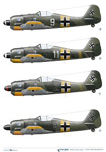 Декаль 1/48 Fw-190 A3 JG 51 part II (Colibri Decals)