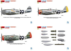 Сборная модель 1/48 Republic P-47D -25RE Thunderbolt ADVANCED KIT (Mini Art)