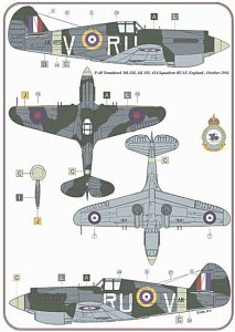 Декаль 1/72 Curtiss P-40C Tomahawk Mk.II RAF WWII x 5 USAF WWII x 1 (AML)