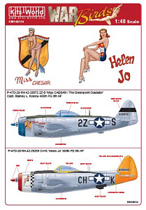 Декаль 1/48 Republic P-47D-28-RA Thunderbolt (Kits-World)